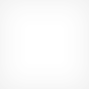 免费ddos网页端
